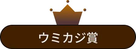 ウミカジ賞