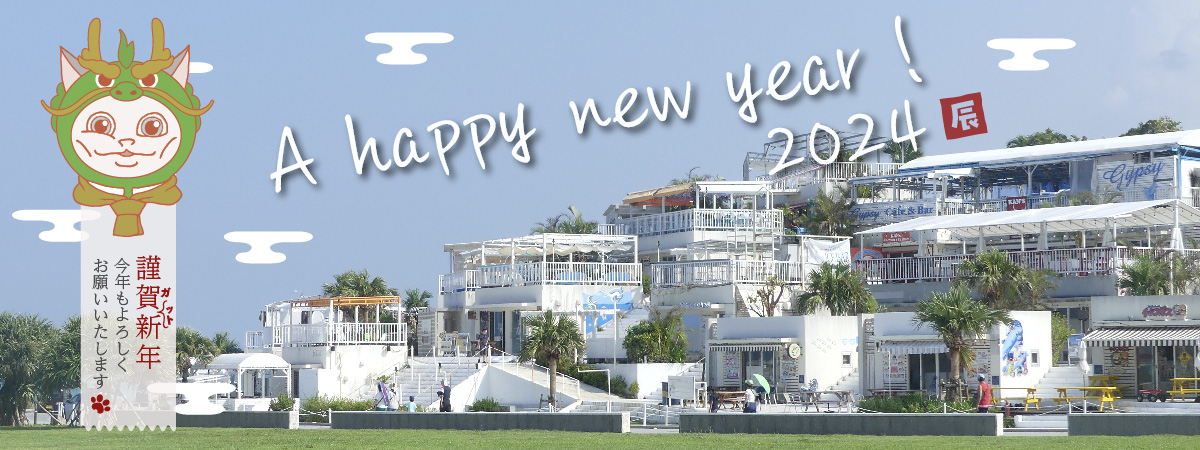 Happy New Year 2024 !!