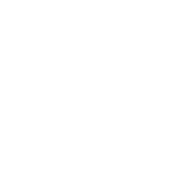 shadow heart