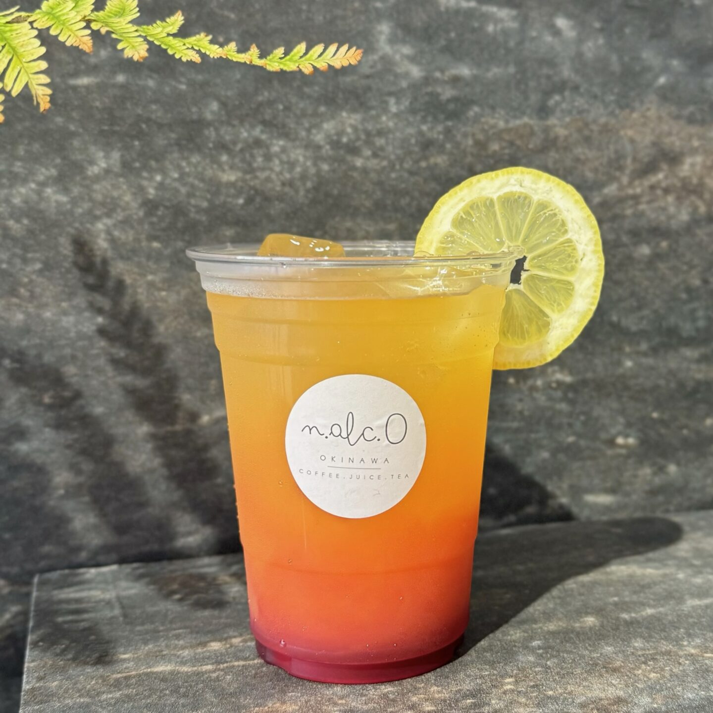 ☀️ New Drink 🌕