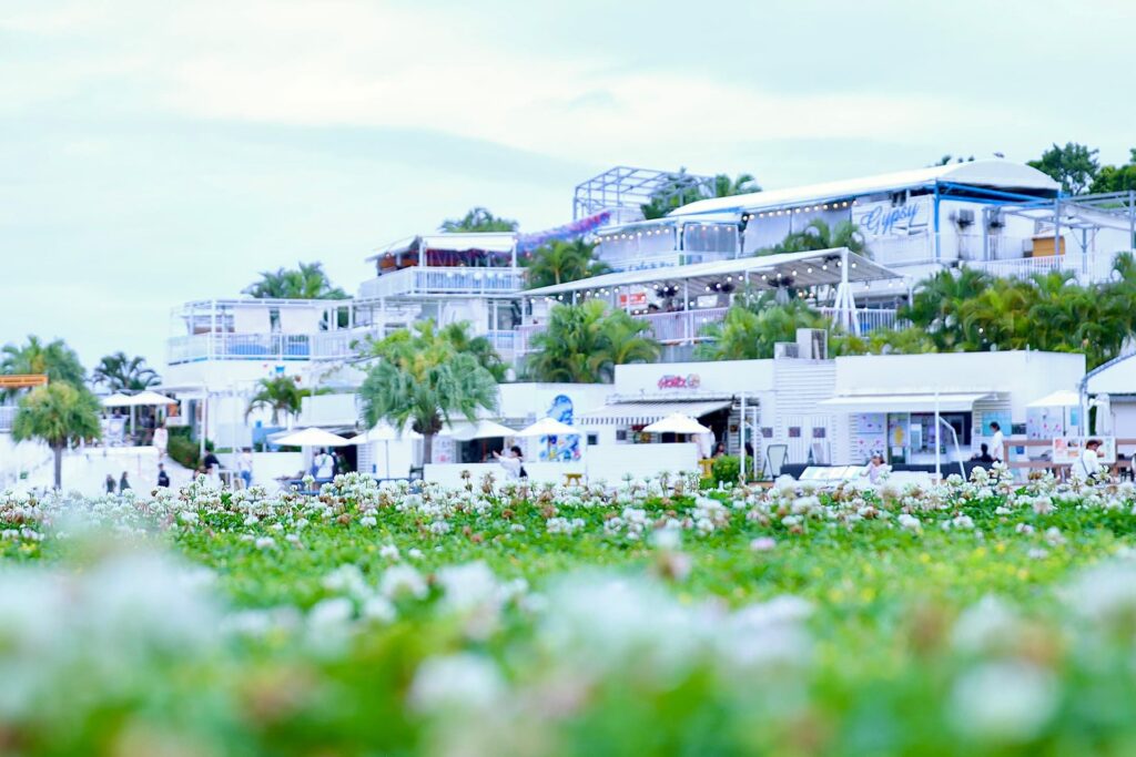 2025マンゴー賞：mayu10709様